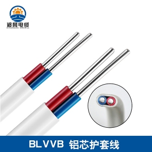 BLVVB鋁芯護(hù)套線(xiàn)